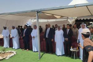 افتتاح المحطة الشمسية.. وسلطة بن الوزير تطفئها لحظة مغادرة الزبيدي ووفد الإمارات