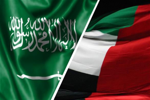 سياسيون يعلقون على البيان السعودي الإماراتي .. البيان أخرج الإمارات من دائرة الغريم 
