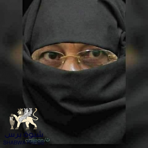في ذكرى هروب "حرم السفير" .. ضياع الشرف العسكري من جيوش صنعاء 