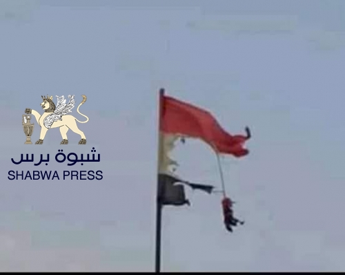 الوحدة النبتة الشيطانية خطأ لا يغتفر !! (الحلقة الثانية) والأخيرة