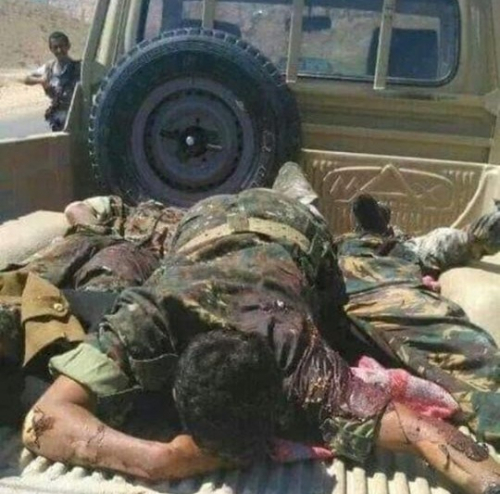 ناطق الجيش الجنوبي بأبين: نيران قواتنا الباسلة حصدت رؤوس من عناصر داعش والقاعدة