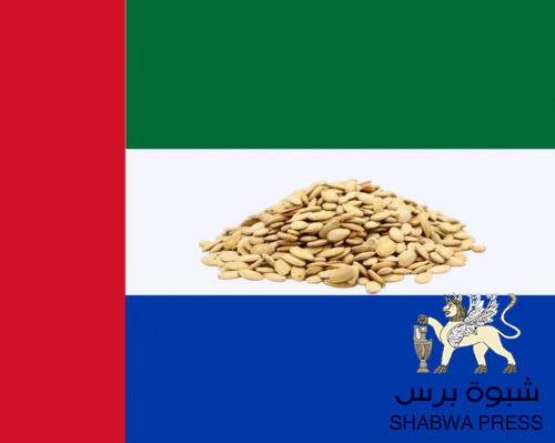 الجعيدي: بعض الحضارم يهاجمون أبناء المثلث الغير متواجدين على أرض حضرموت
