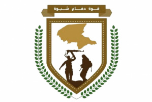 القوات الجنوبية تُعلن حظر التجوال في المصينعة بشبوة اعتبارا من الليلة
