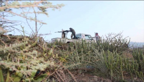 القوات الجنوبية تدحر مليشيا الحوثي بمواقع في جبهة عهامة