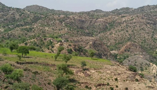 شهيدان للقوات الجنوبية في تصدي لعدوان حوثي شمال لحج