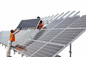 شمس الإمارات تضيء العالم.. طاقة مستدامة عابرة للقارات في 2025