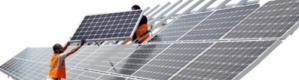شمس الإمارات تضيء العالم.. طاقة مستدامة عابرة للقارات في 2025