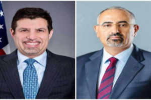 الرئيس الزُبيدي يناقش مع فاجن إنجازات لجنة الإيرادات السيادية