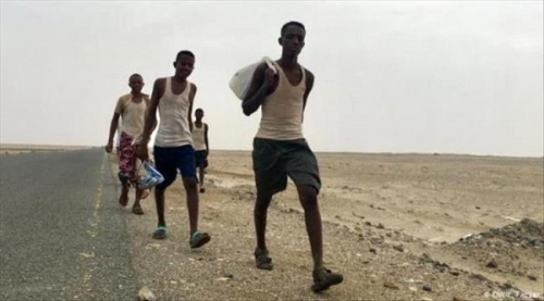 وصول نحو 7 آلاف مهاجر أفريقي إلى الجنوب واليمن
