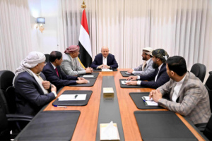 قرارات المجلس الرئاسي صدرت لكي لا تنفذ