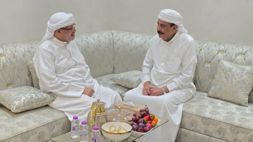 بن بريك وسلطان المهرة يؤكدان وحدة الصف الجنوبي ومواجهة التحديات