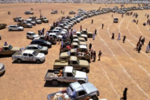 تكلفة مليشيات بن حبريش تبلغ 115 مليون ريال سعودي