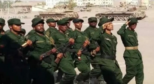 مكافحة القوات الجنوبية للإرهاب..ترسيخ لمكانتها كقوة نظامية متمكنة