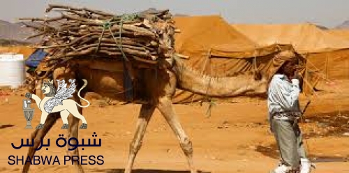 "إبـل شبـوه" تستشعـر خطورة الإعصار "كيار" وما يمثله من مخاطر 