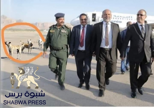 على الطريقة الأمريكية : أبناء الجنوب "السـود" في لجان شرعية الإحتلال اليمني