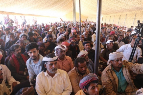 حشود الطلح يطالبون بعودة النخبة وطرد الإخوان ومواجهة الحوثي
