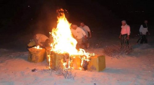 اتلاف 1.5 طن قات في الشحر قبل تهريبها إلى سقطرى