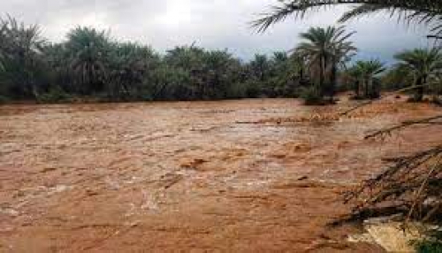 خطر العاصفة "تيج" كبير جدا على سكان جزيرة سقطرى