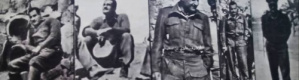 عبدالناصر وغزة