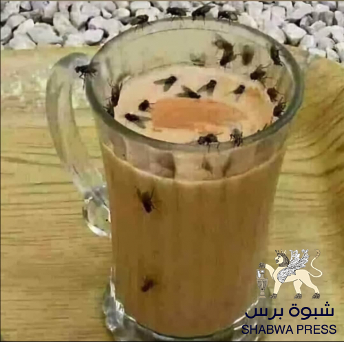أنفاس الشعب الحضرمي الحارّة تقضي على الذباب الألكتروني لـ "المجلس الحضرمي"