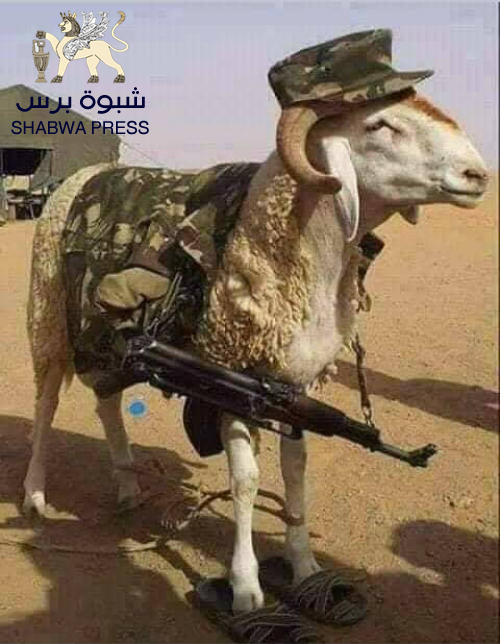 استعيدوا كرامتكم اولاً وبعدها احلموا بالقضاء على الثورة الجنوبية