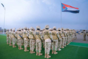 دعوة أمريكية لتسليح الانتقالي لحماية الأمن ومواجهة الحوثي
