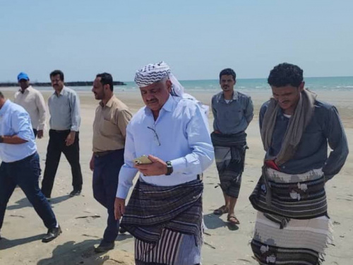 الإمارات تقيم محطة كهرباء غازية 60 ميجا بشبوة  