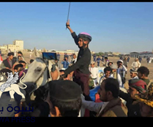 عاجل: رغم أنف إصلاحيي مأرب.. فوز شبل بلحارث وشبوة ببطولة فروسية مأرب (صور)
