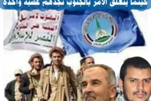 الجنوب يواجه الإرهاب منفردًا بينما الإقليم والعالم يلتزمان الصمت