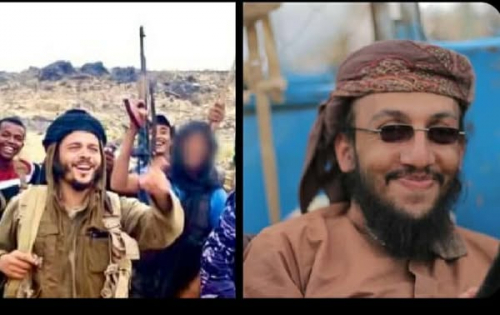تلاميذ الحجوري قادة عمليات الإرهاب في الجنوب