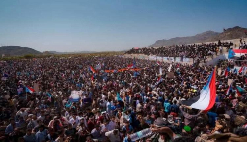 الثورة الجنوبية بين استمرار الهدف وعبء التنظيم