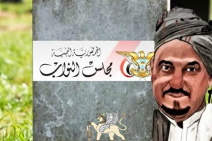 مجلس نواب بقايا الزهايمر.. البركاني يبحث عن بدل سفر ومخصصات!