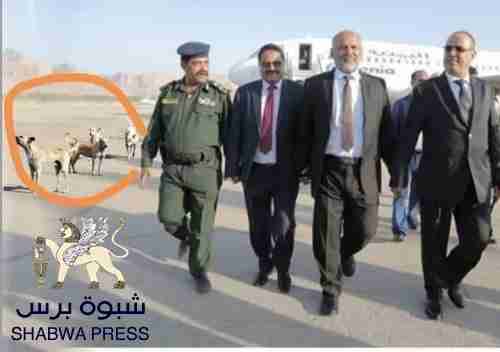 كل تحركاتهم تحت المجهر: لاشيء متروك للصدفة أو لعنصر المفاجئة .