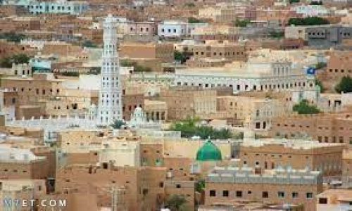 مقتل مواطن من أبناء شبوة في إحدى مزارع تريم