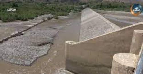 التنمية في أبين وثمار إمارات الخير