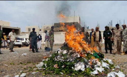 على الأجهزة الأمنية في سقطرى طرد مهربي القات اليمنيين