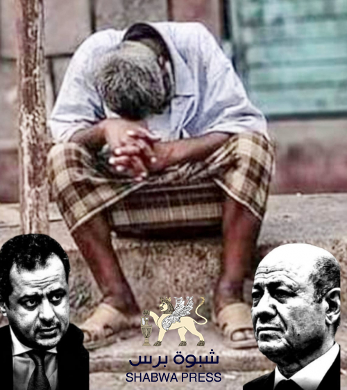 لن يستقر الوضع الخدمي والاقتصادي في عدن والجنوب حتى تحرير الوادي والمهرة