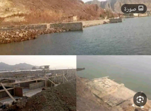 صحفيان يكشفان فضيحة جزيرة العمال.. نهب في قلب الميناء وصمت يثير الغضب