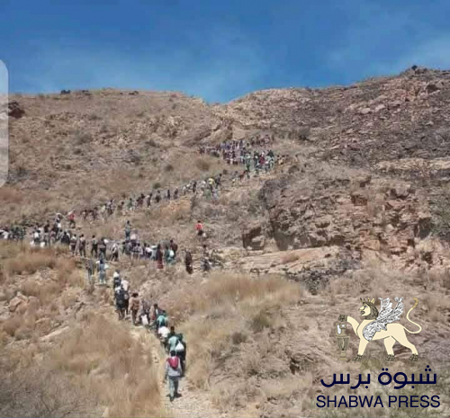 "موجات المهاجرين الإثيوبيين غير الشرعيين.. خطر صامت يهدد أمن الجنوب ومستقبل أجياله"