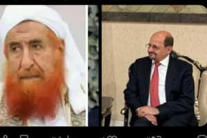 الزنداويون.. من فتاوى التكفير ونهب أموال المساهمين إلى دبلوماسية الفساد وعقوق الوطن