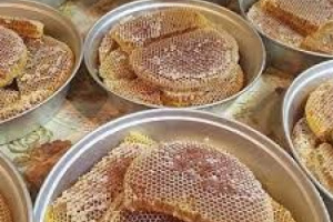 حضرموت.. تُسرق في وضح النهار باسم “اليمن”!