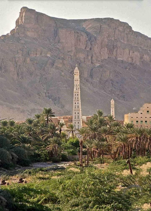 حضرموت بين تزوير الهوية وتعدد الولاءات