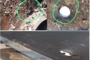 كشف محاولات تبرئة شركة صقر الحجاز من كارثة مقتل عشرين جنوبياً (وثيقة وصور)