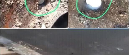 كشف محاولات تبرئة شركة صقر الحجاز من كارثة مقتل عشرين جنوبياً (وثيقة وصور)