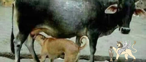 "صنمية" الوحدة اليمنية: تجاهل التاريخ والجغرافيا