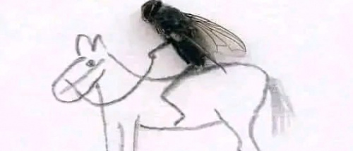 فضيحة ذباب الإصلاح في عدن وحضرموت تكشف الحرب الرقمية على الجنوب