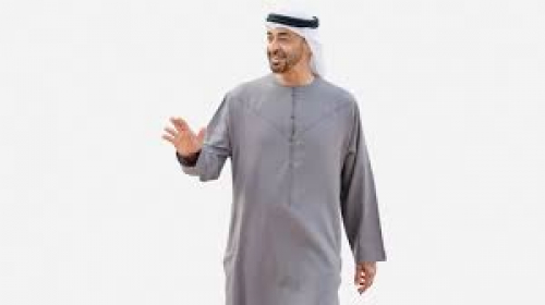 الإمارات تتعهد بدعم كهرباء الجنوب بمليار دولار