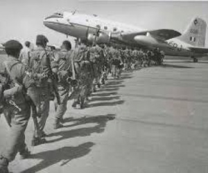 نوفمبر.. الاستقلالُ الموت!