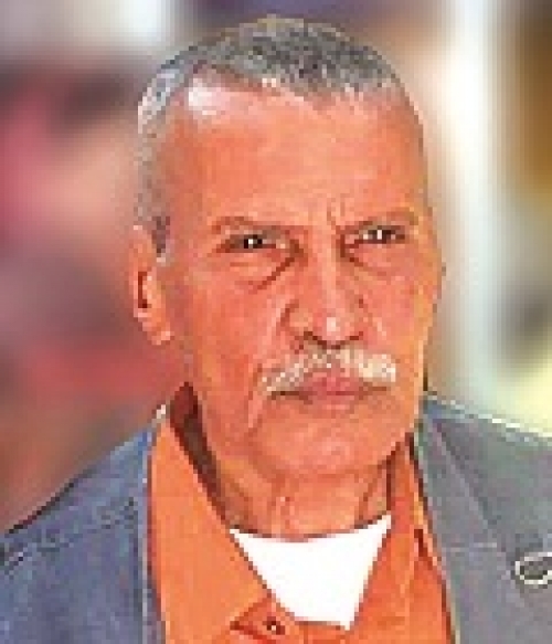 داريا دولت تحلق في سماء وزارتي الدفاع والداخلية
