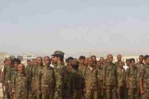 عناصر من مليشيات الاخوان يبيعون أسلحتهم في اسواق عتق .